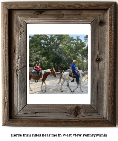 horse trail rides near me in West View, Pennsylvania